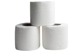 [CL-10007] Sanita Toilet Roll Paper